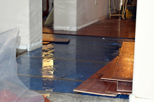 Professional Water Extraction technician working in Lolita, TX